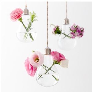 3 piece adorable bulb hanging planter